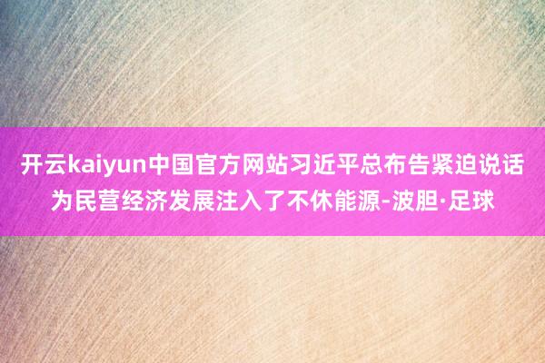 开云kaiyun中国官方网站习近平总布告紧迫说话为民营经济发展注入了不休能源-波胆·足球