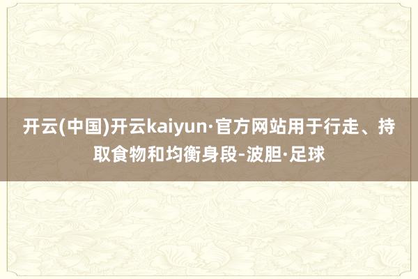 开云(中国)开云kaiyun·官方网站用于行走、持取食物和均衡身段-波胆·足球