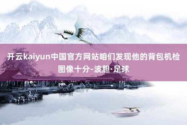 开云kaiyun中国官方网站咱们发现他的背包机检图像十分-波胆·足球