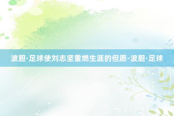 波胆·足球使刘志坚重燃生涯的但愿-波胆·足球