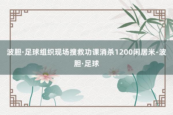 波胆·足球组织现场搜救功课消杀1200闲居米-波胆·足球