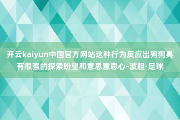 开云kaiyun中国官方网站这种行为反应出狗狗具有很强的探索盼望和意思意思心-波胆·足球