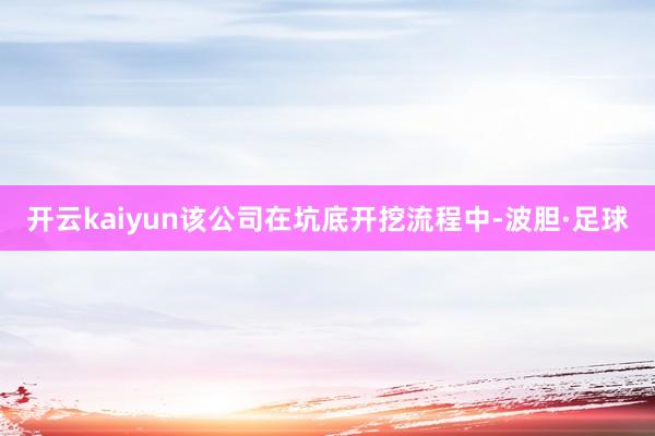 开云kaiyun该公司在坑底开挖流程中-波胆·足球