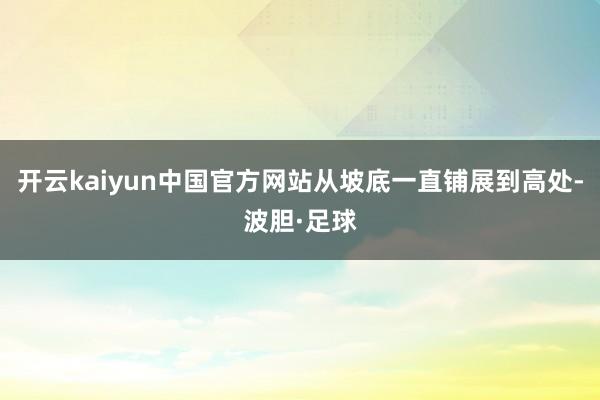 开云kaiyun中国官方网站从坡底一直铺展到高处-波胆·足球
