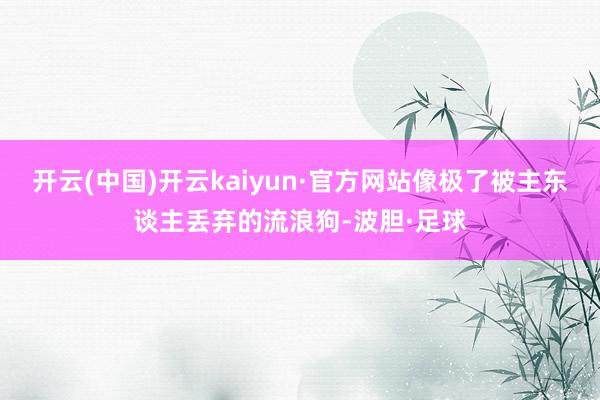 开云(中国)开云kaiyun·官方网站像极了被主东谈主丢弃的流浪狗-波胆·足球