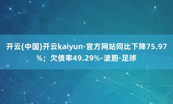 开云(中国)开云kaiyun·官方网站同比下降75.97%；欠债率49.29%-波胆·足球