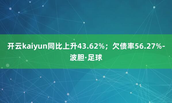 开云kaiyun同比上升43.62%;欠债率56.27%-波胆·足球