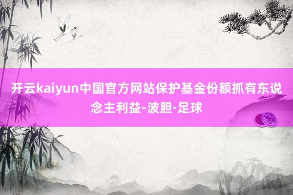开云kaiyun中国官方网站保护基金份额抓有东说念主利益-波胆·足球
