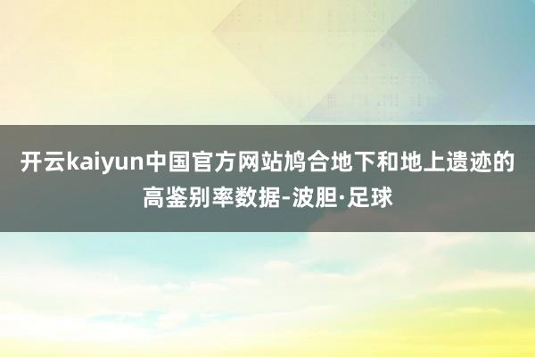 开云kaiyun中国官方网站鸠合地下和地上遗迹的高鉴别率数据-波胆·足球