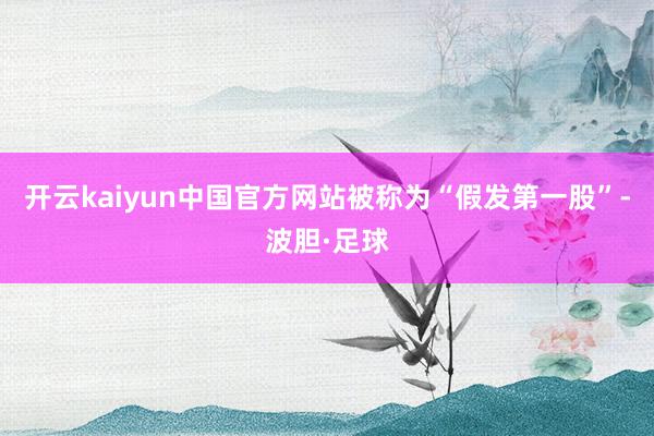 开云kaiyun中国官方网站被称为“假发第一股”-波胆·足球