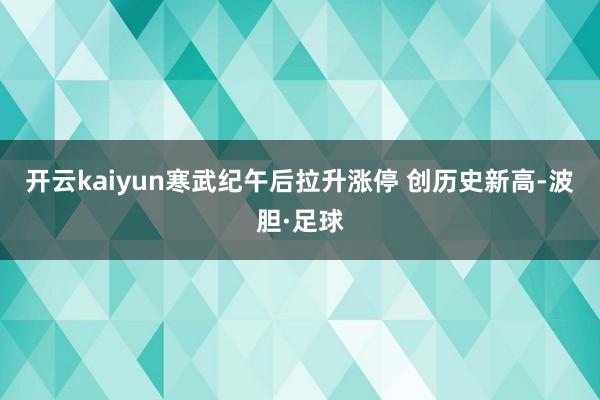 开云kaiyun寒武纪午后拉升涨停 创历史新高-波胆·足球
