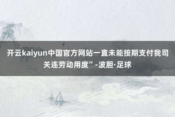开云kaiyun中国官方网站一直未能按期支付我司关连劳动用度”-波胆·足球