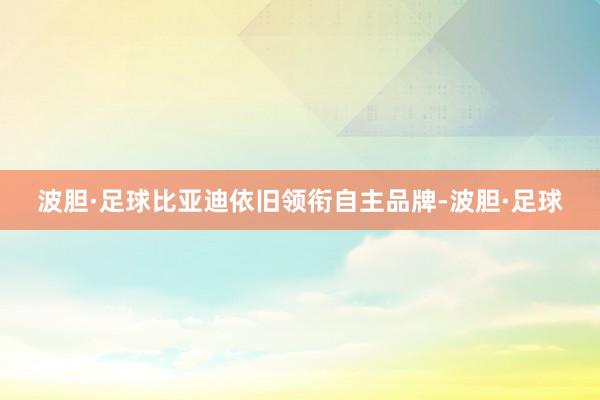波胆·足球比亚迪依旧领衔自主品牌-波胆·足球