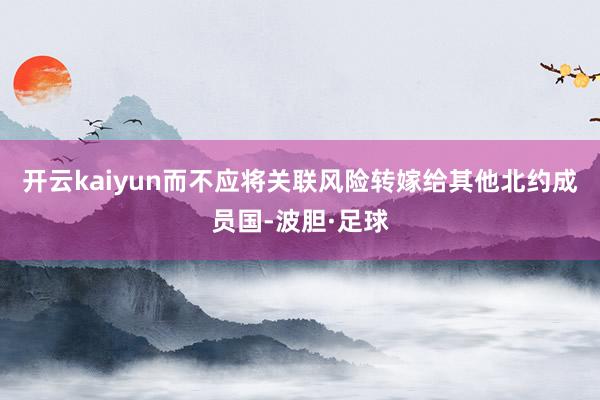 开云kaiyun而不应将关联风险转嫁给其他北约成员国-波胆·足球