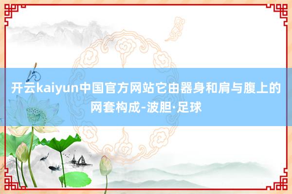 开云kaiyun中国官方网站它由器身和肩与腹上的网套构成-波胆·足球