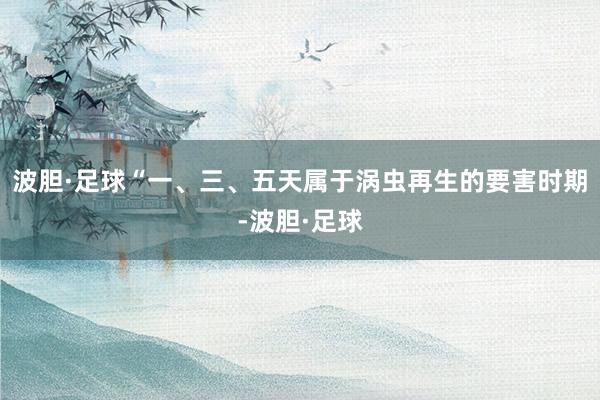 波胆·足球“一、三、五天属于涡虫再生的要害时期-波胆·足球