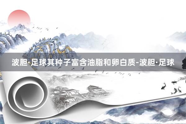 波胆·足球其种子富含油脂和卵白质-波胆·足球