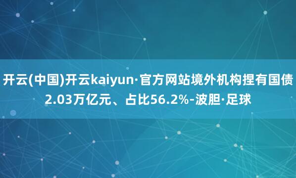 开云(中国)开云kaiyun·官方网站境外机构捏有国债2.03万亿元、占比56.2%-波胆·足球