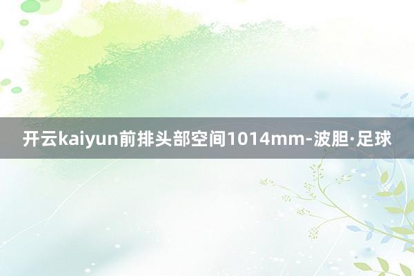 开云kaiyun前排头部空间1014mm-波胆·足球