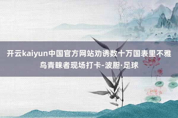 开云kaiyun中国官方网站劝诱数十万国表里不雅鸟青睐者现场打卡-波胆·足球