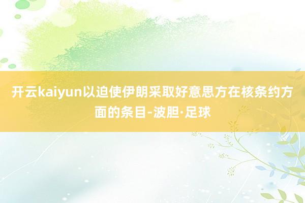 开云kaiyun以迫使伊朗采取好意思方在核条约方面的条目-波胆·足球